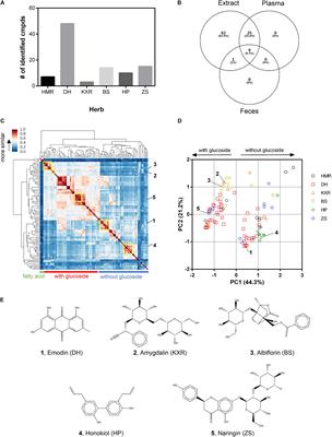 Uncovering the Mechanisms of Chinese Herbal Medicine (MaZiRenWan) for Functional Constipation by Focused Network Pharmacology Approach